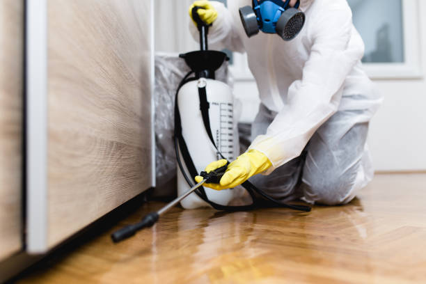 Best Pest Inspection Near Me  in Granite Quarry, NC