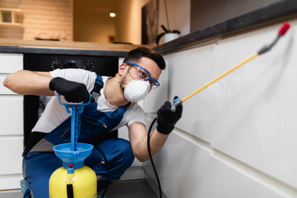 Best Bed Bug Extermination  in Granite Quarry, NC