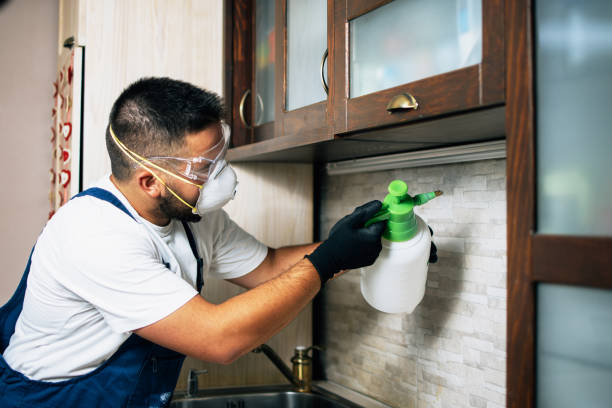 Best Pest Removal Services  in Granite Quarry, NC