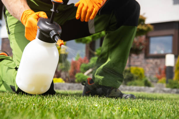 Best Mosquito Control Services  in Granite Quarry, NC