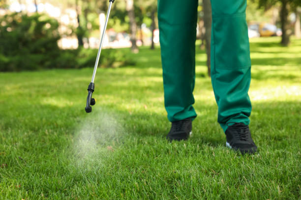 Best Emergency Pest Control  in Granite Quarry, NC