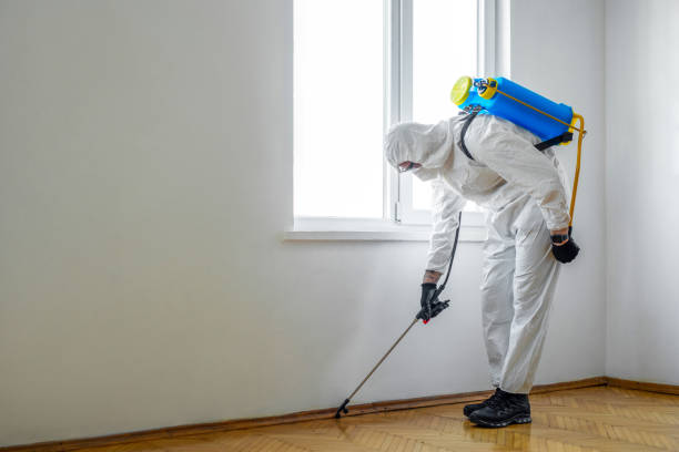 Best Local Pest Control Services  in Granite Quarry, NC