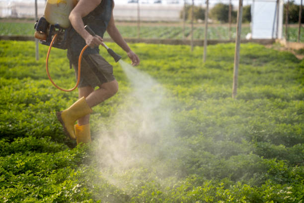 Best Commercial Pest Control Services  in Granite Quarry, NC