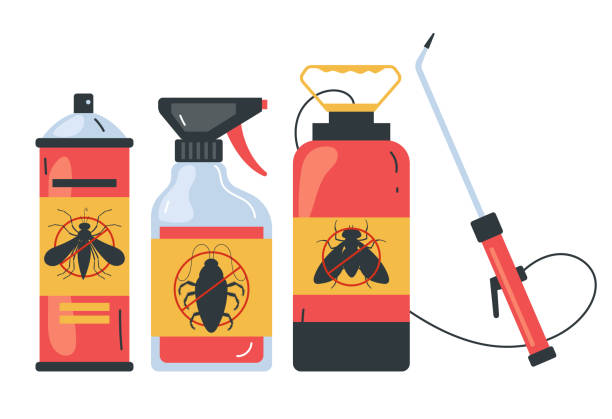 Best Termite Control Services  in Granite Quarry, NC
