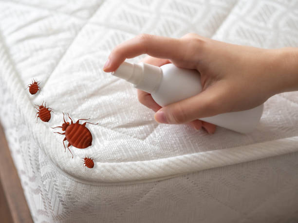 Best Pest Inspection Near Me  in Granite Quarry, NC