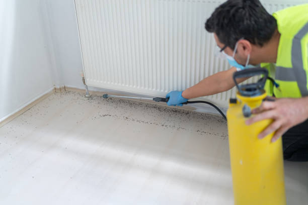 Pest Prevention Services in Granite Quarry, NC